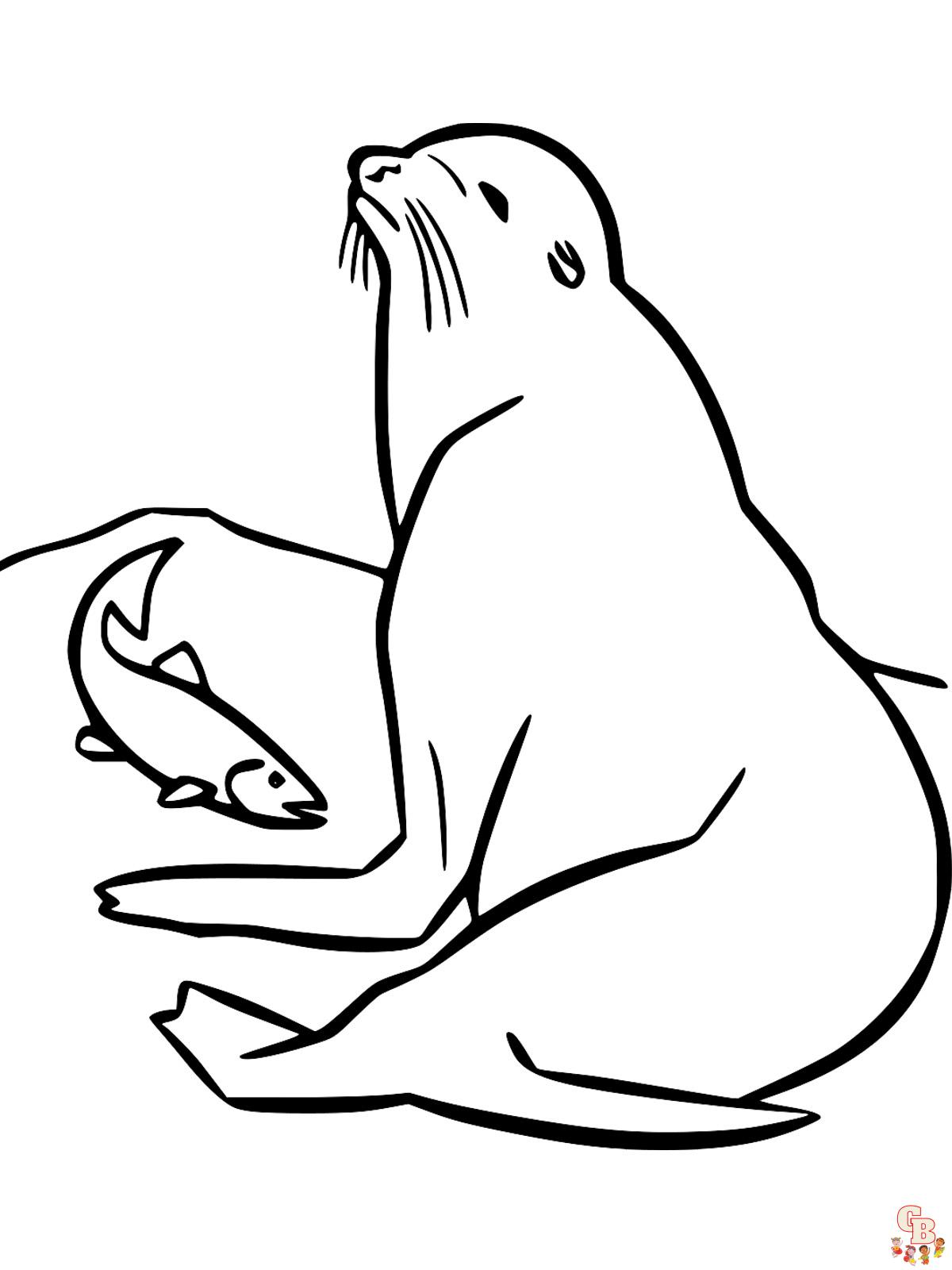 Sea Lion Coloring Pages 13