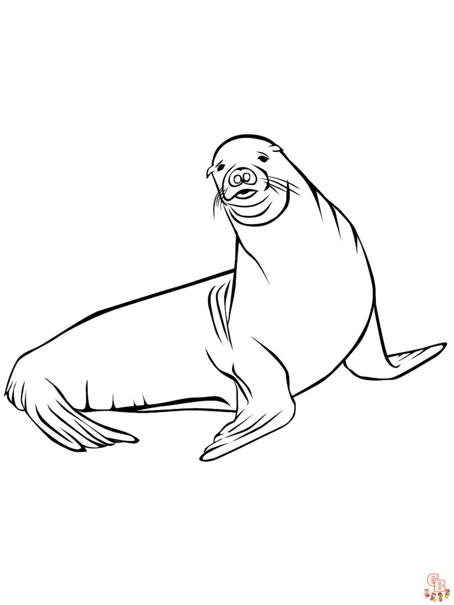 Sea Lion Coloring Pages Free 1