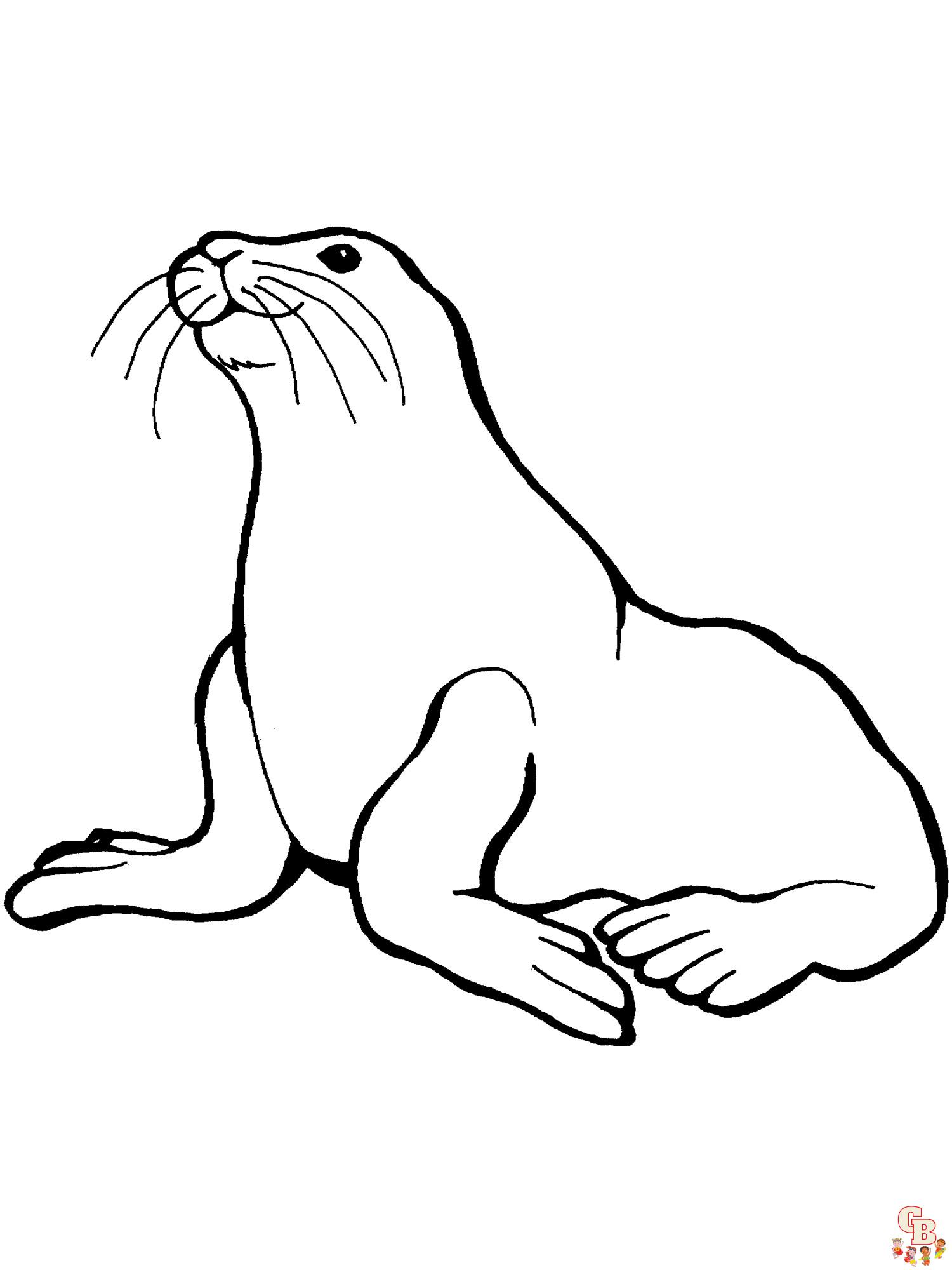 Sea Lion Coloring Pages easy 2