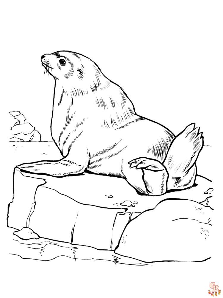 Sea Lion Coloring Pages printable 1