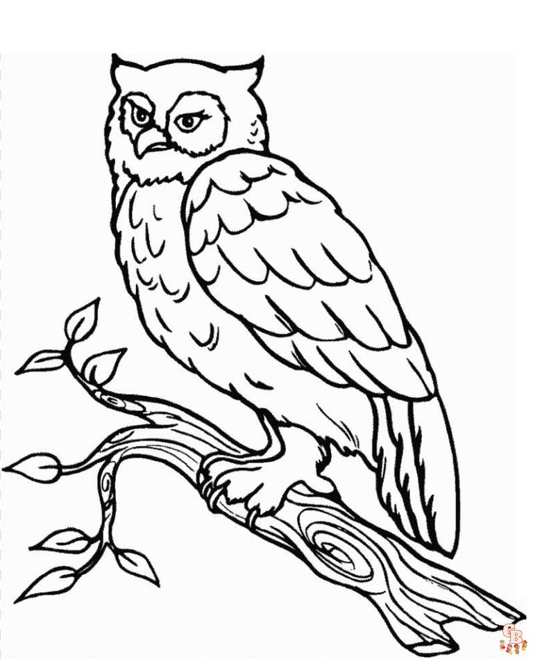 Free Printable Snowy Owl Coloring Pages for Kids | GBcoloring