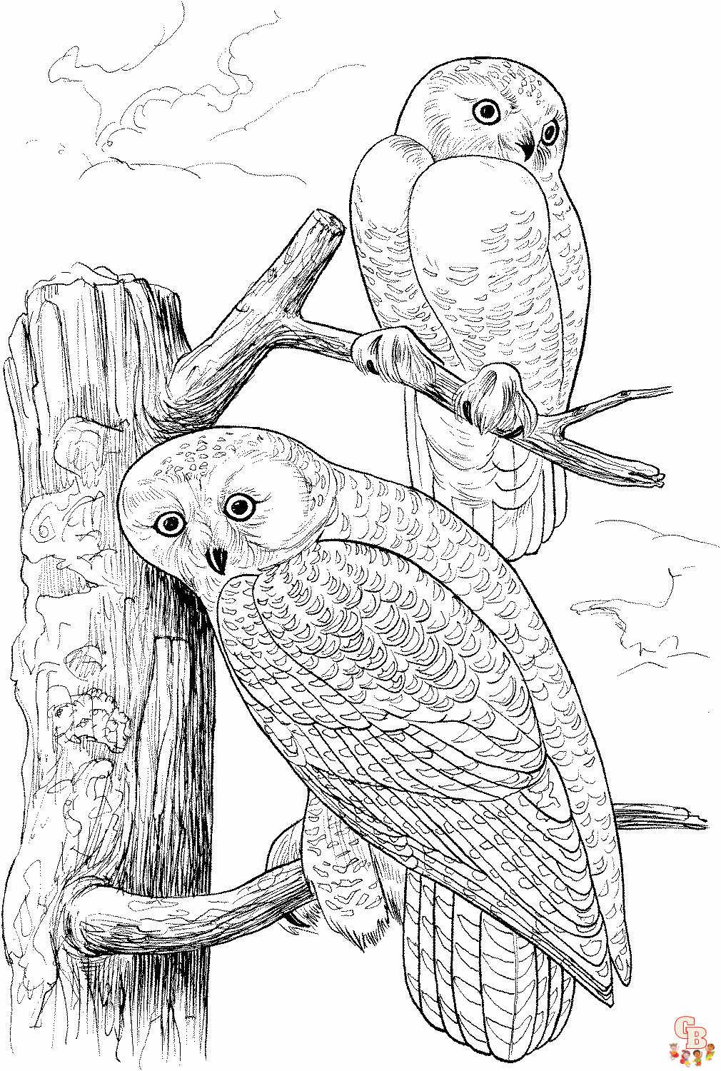 https://gbcoloring.com/wp-content/uploads/2023/04/Snowy-Owl-Coloring-Pages-for-Kids-1.gif