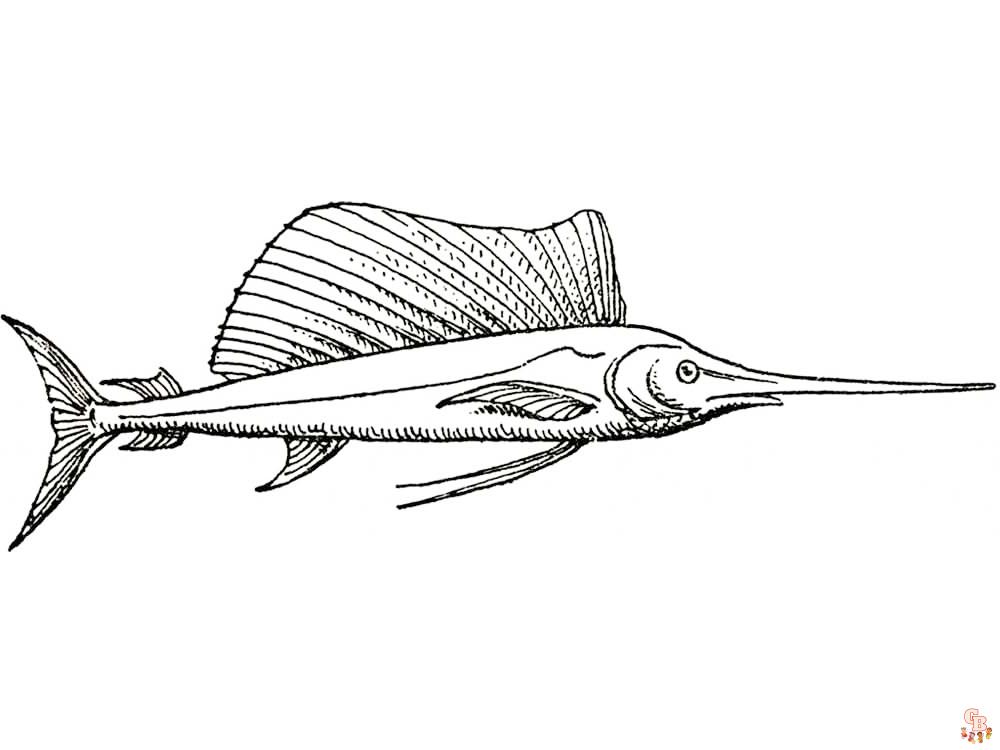 Swordfish Coloring Pages 5