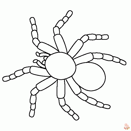 Free Tarantula Coloring Pages to Print and Color | GBcoloring
