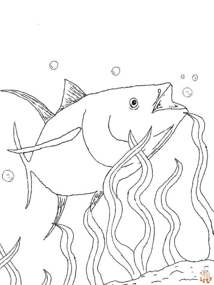 Tuna Fish Coloring Pages 6