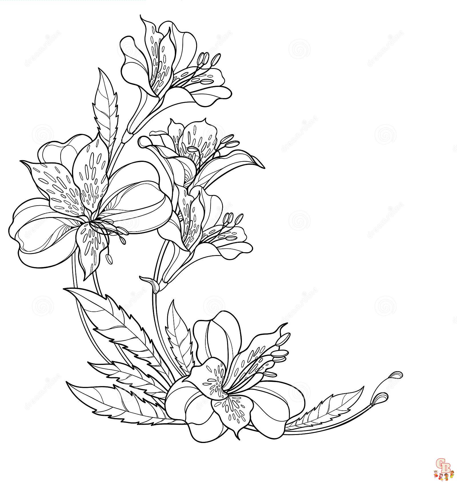 Alstroemeria Coloring Pages 2