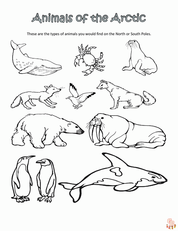 arctic-animal-coloring-pages-creative-fun