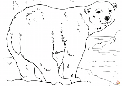 Arctic Animal Coloring Pages 1