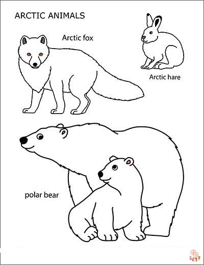 arctic habitat coloring pages