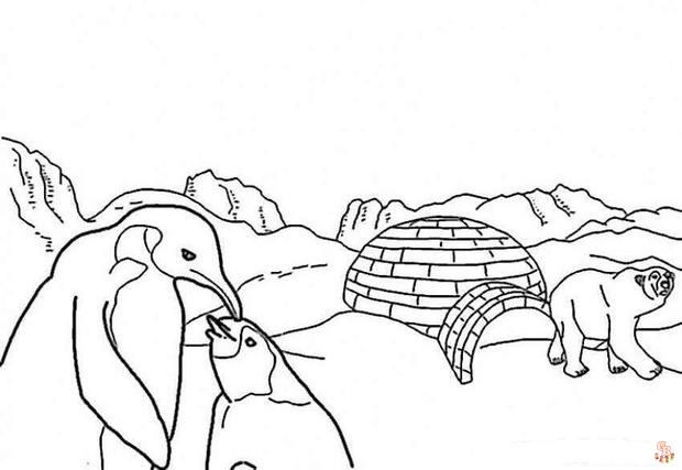 Arctic Animal Coloring Pages 6
