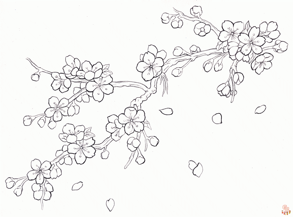 Cherry Blossom Coloring Pages 2