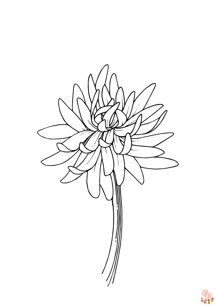 Chrysanthemums Coloring Pages 4