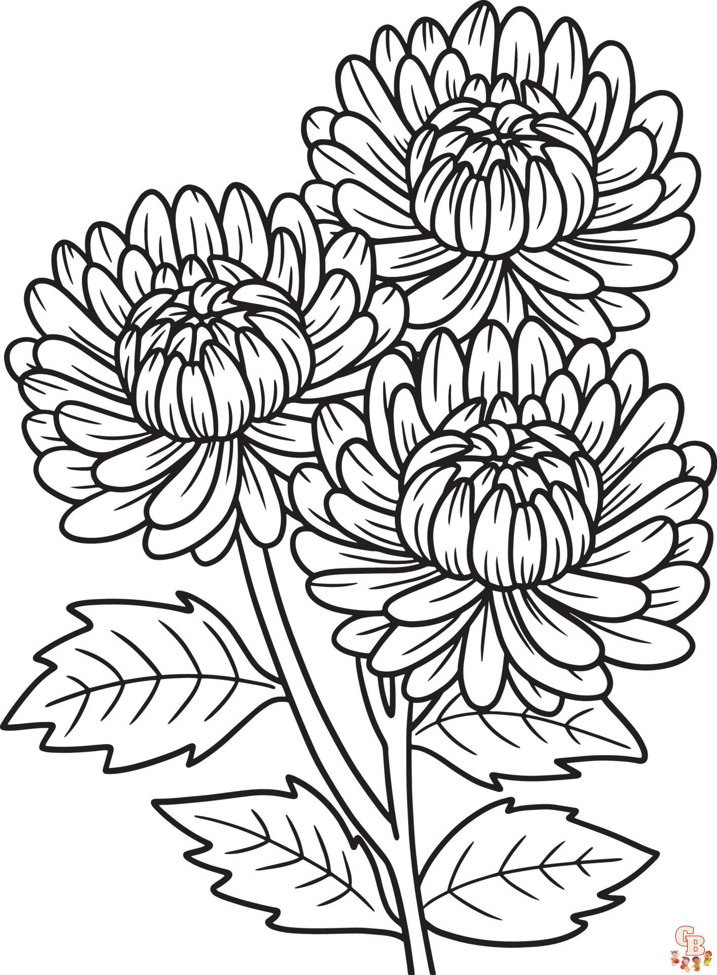 Chrysanthemums Coloring Pages 5