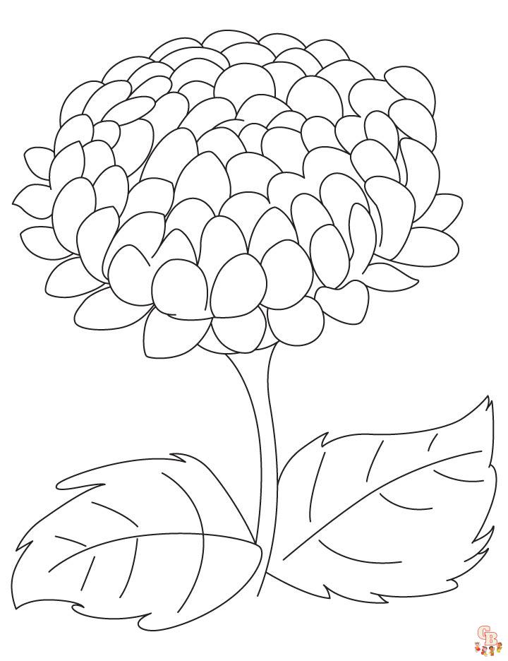Chrysanthemums Coloring Pages easy 1