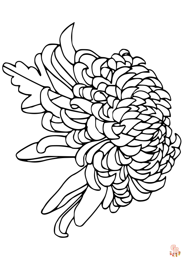 Chrysanthemums Coloring Pages easy 2