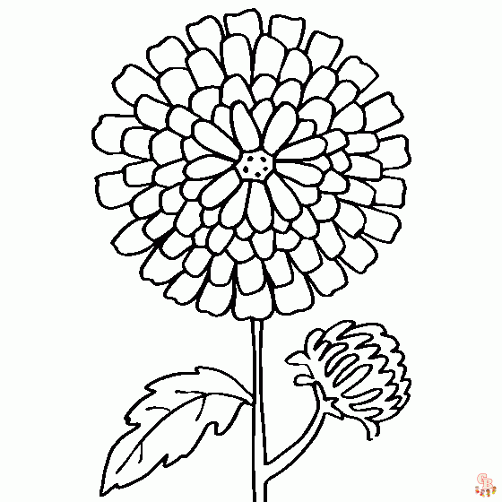 Chrysanthemums Coloring Pages free 1