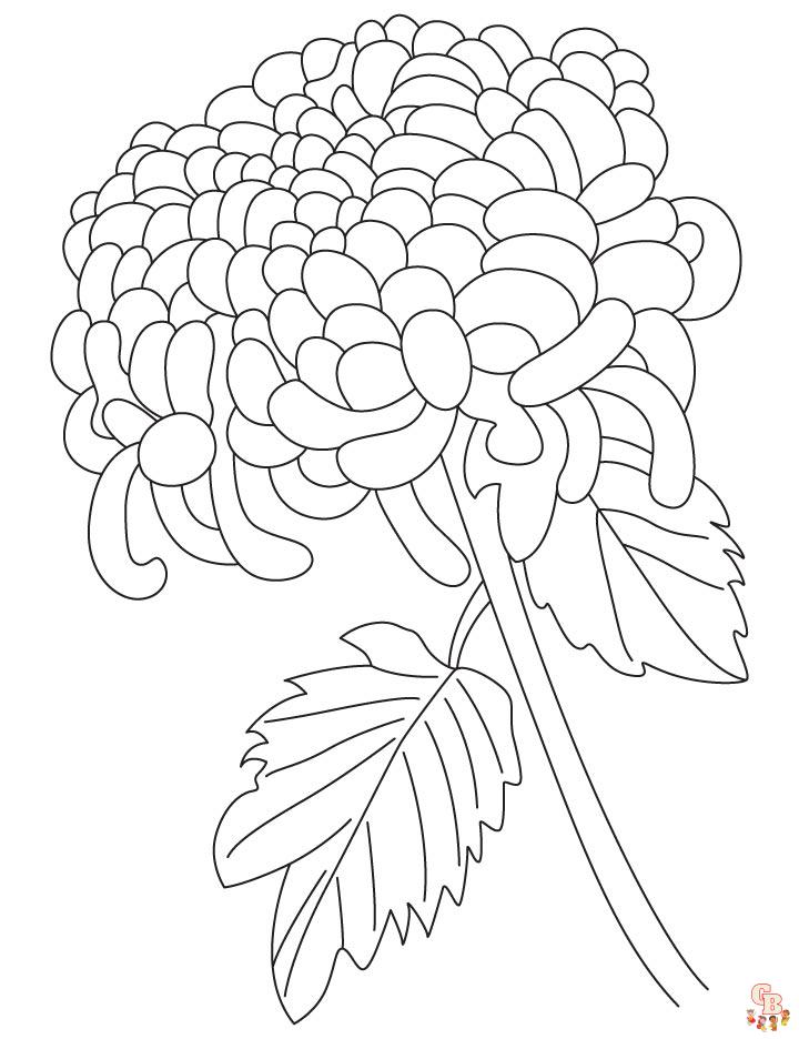 Chrysanthemums Coloring Pages printable 1