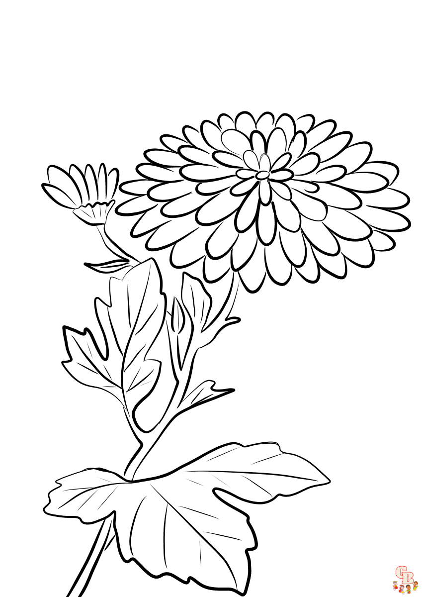 Chrysanthemums Coloring Pages printable 1