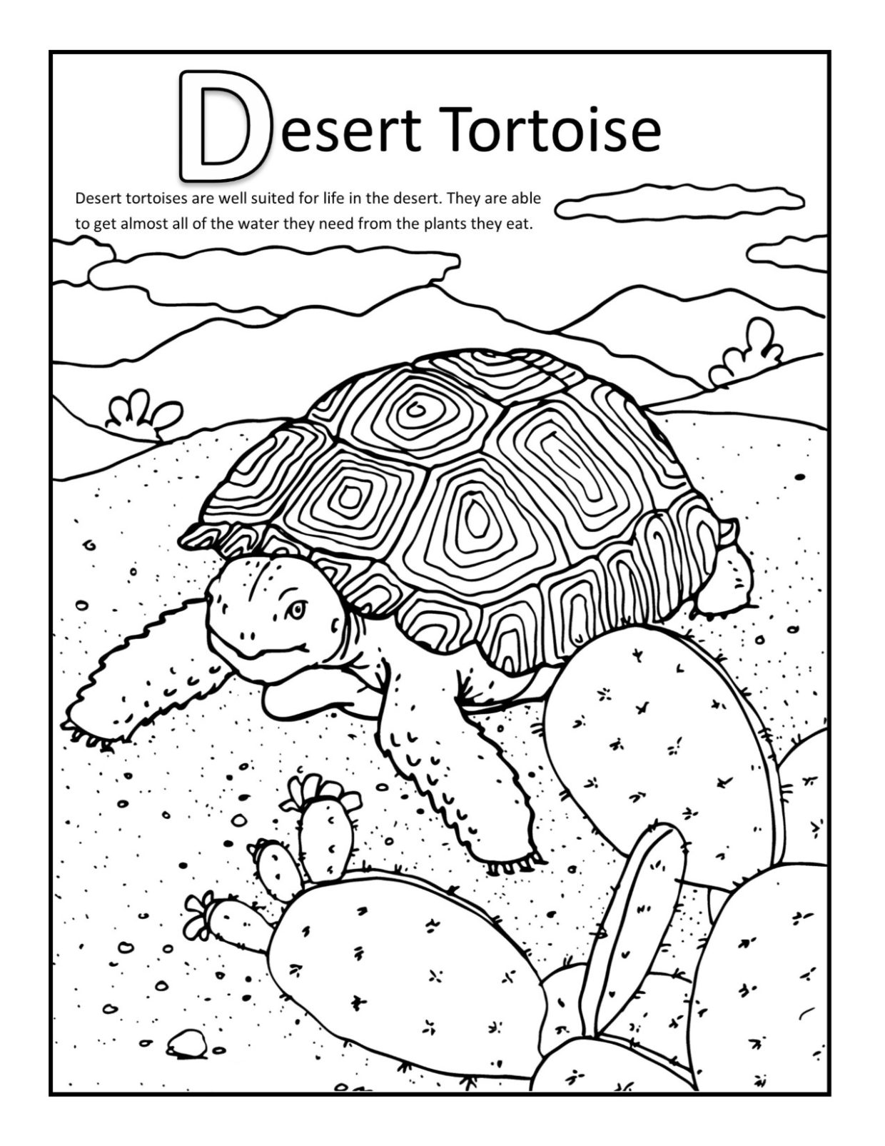 desert-animals-coloring-pages-printable