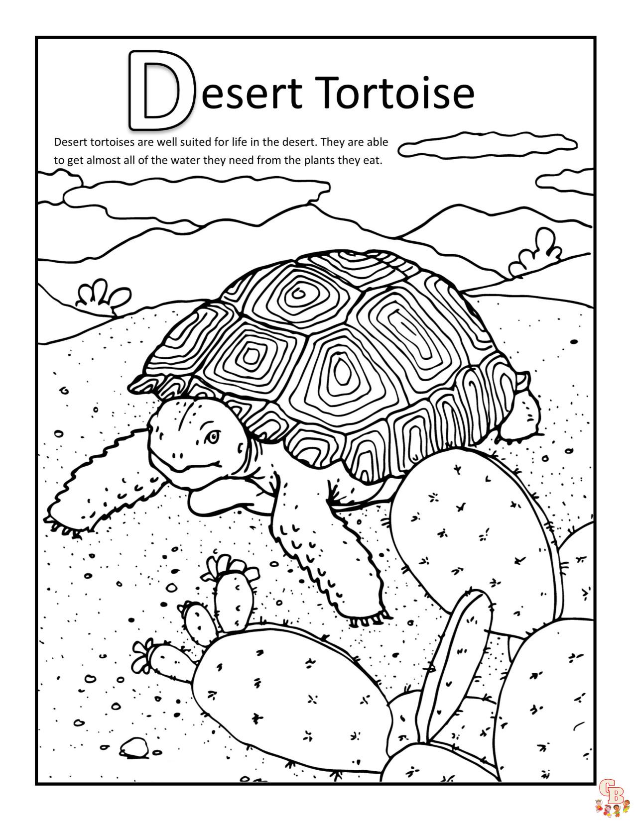 Animales del desierto para colorear para niños fácil 1
