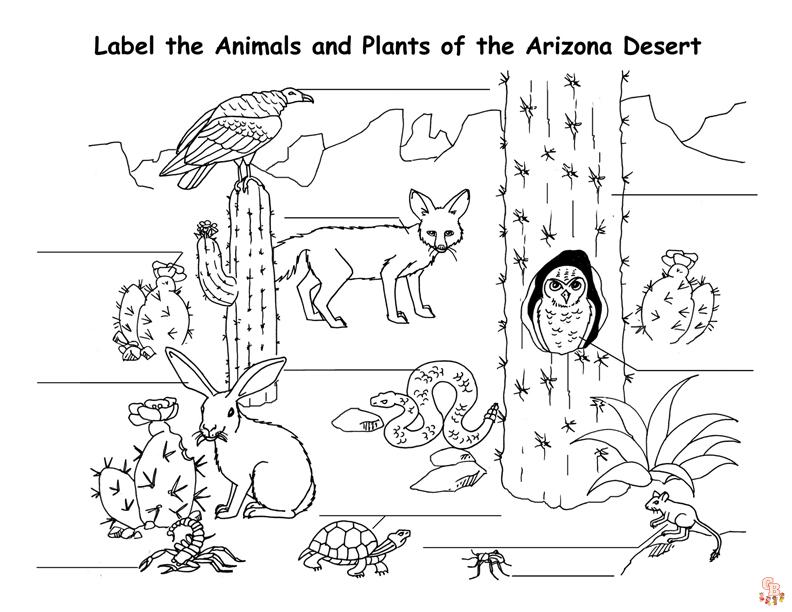 Animales del desierto para colorear para niños fácil 2