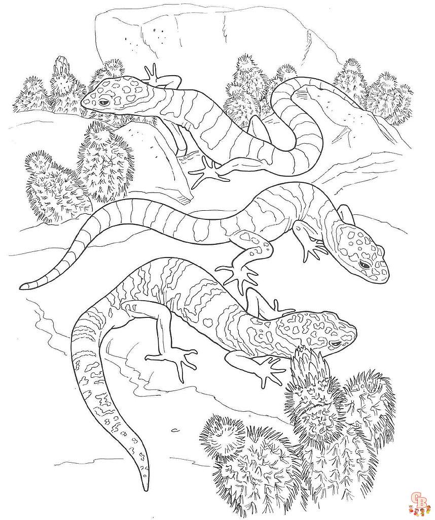 Desert Animals Coloring Pages free 3