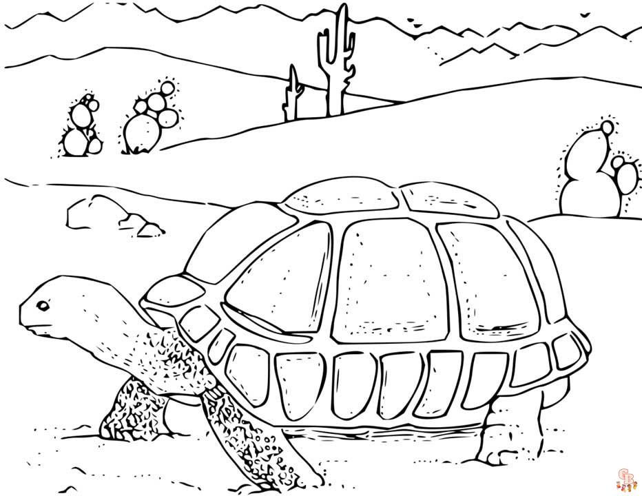 Dibujos de animales del desierto para colorear imprimibles 3