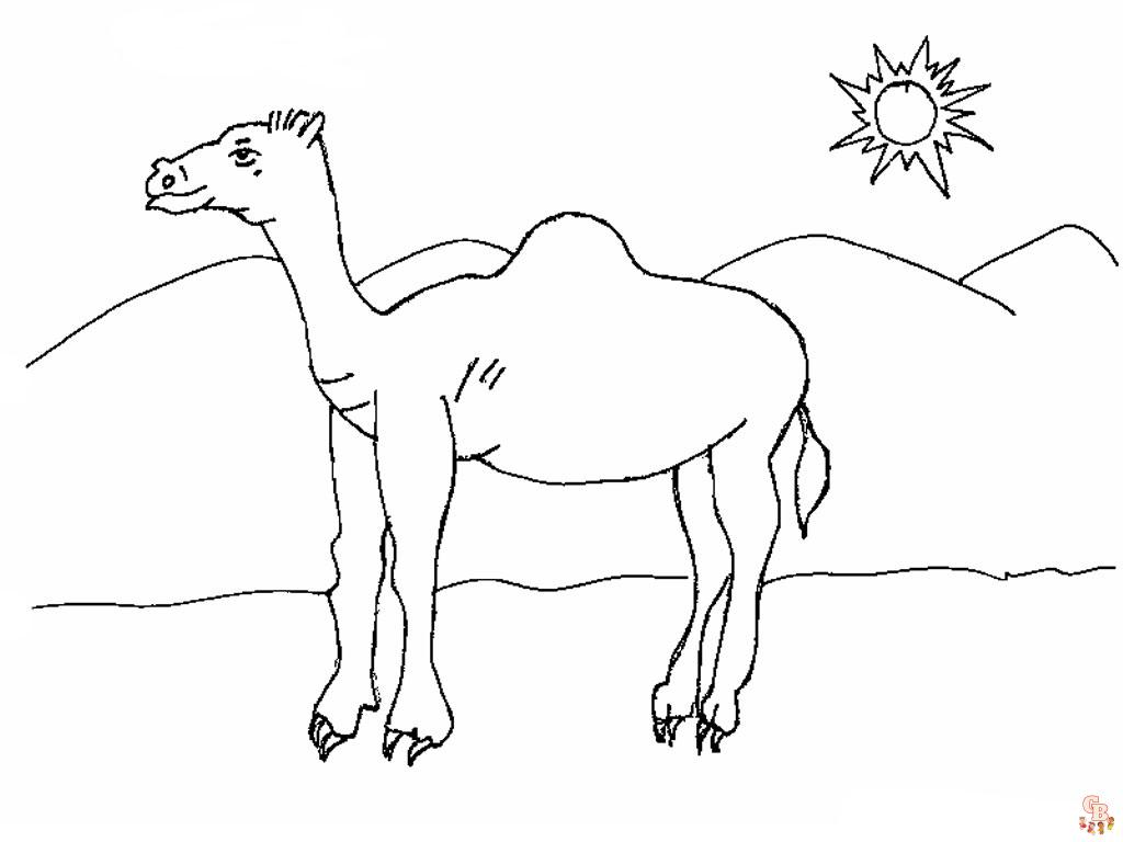 Dibujos para colorear de animales del desierto05