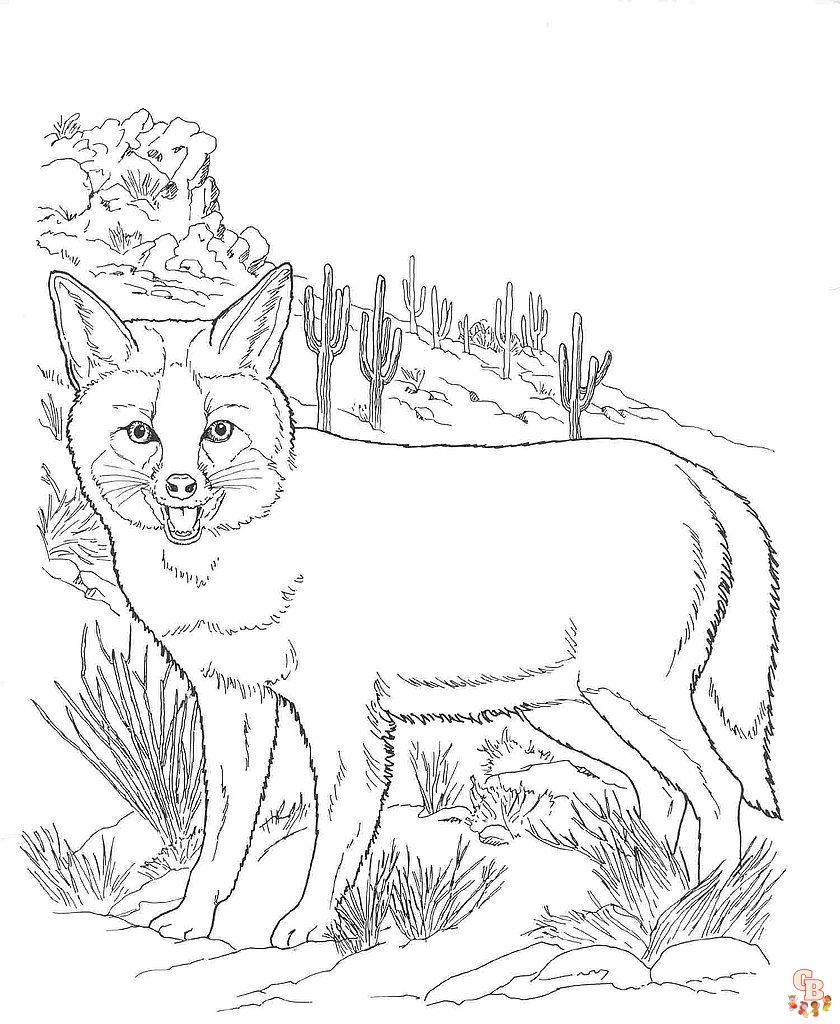 Desert Animals Coloring Pages13