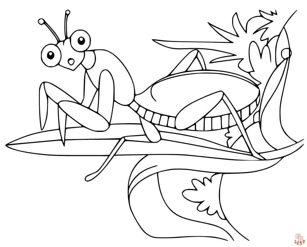 Free Cute Praying Mantis coloring pages for kids