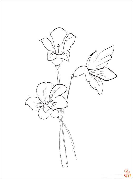 Freesia Coloring Pages 2