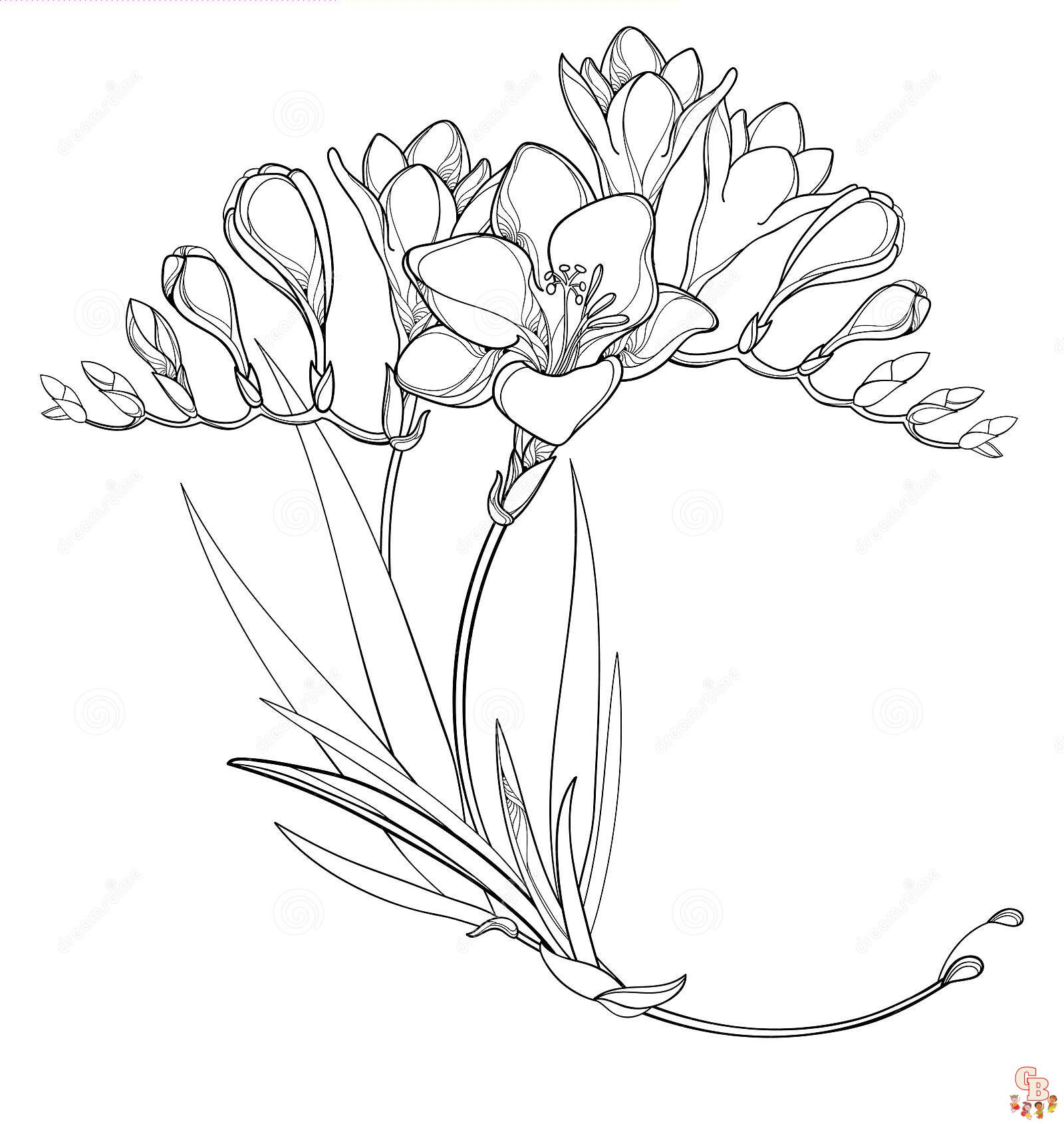 Freesia Coloring Pages 7