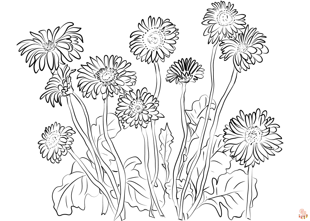Gerberas Coloring Pages 1