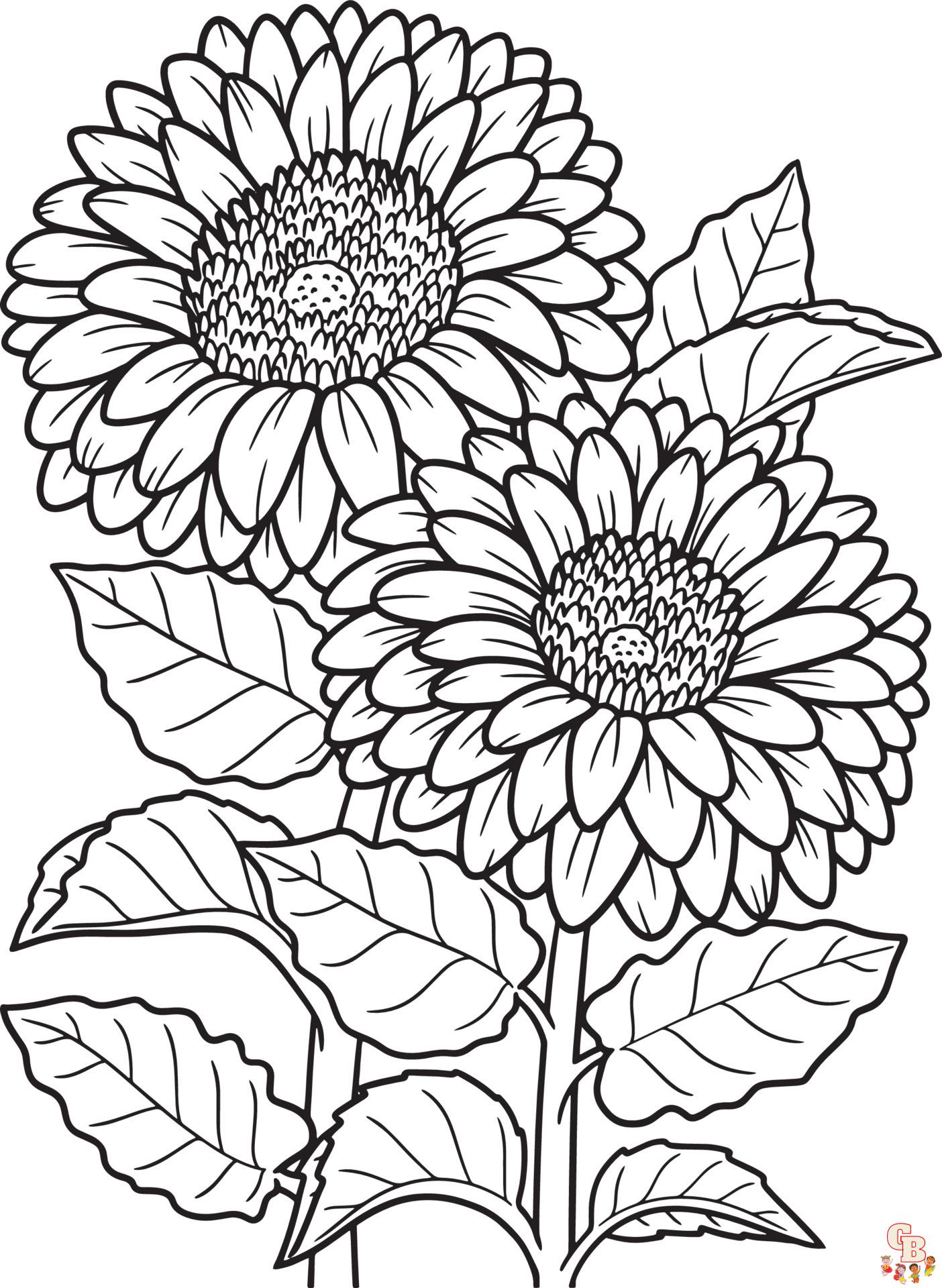 Gerberas Coloring Pages 5