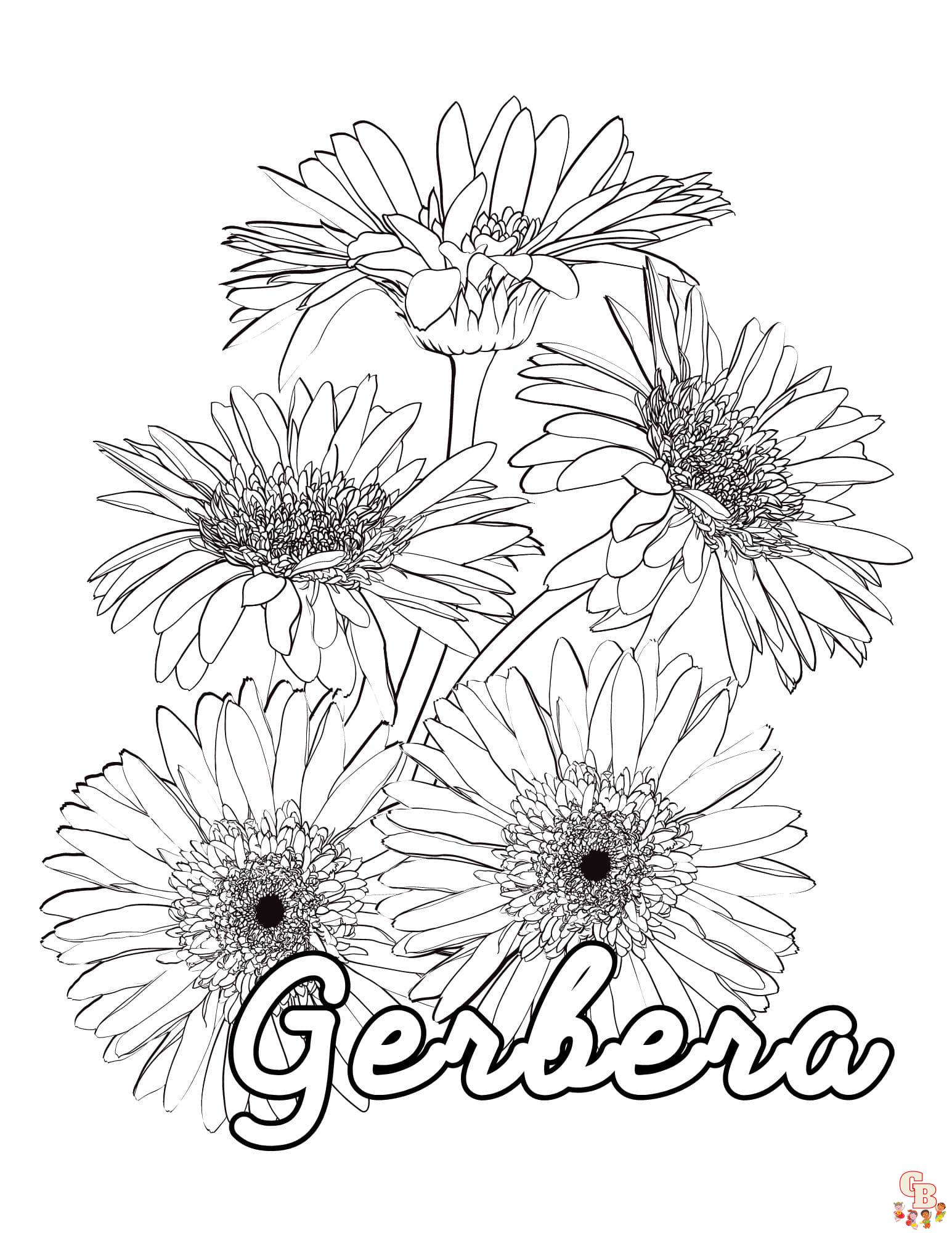 Gerberas Coloring Pages 6
