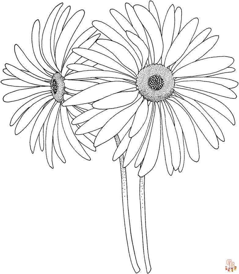 Gerberas Coloring Pages 8