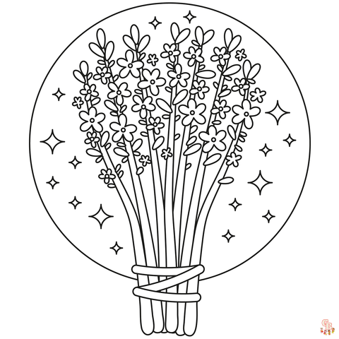 Lavender Coloring Pages easy 1