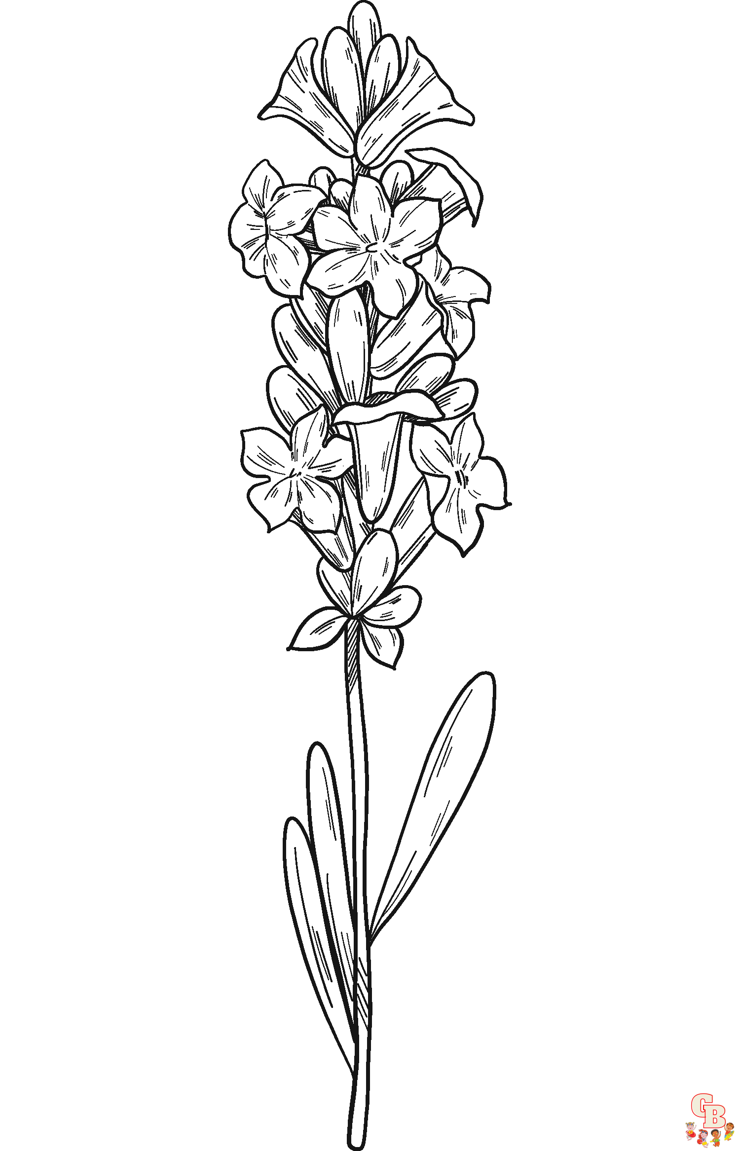 Lavender Coloring Pages easy 2