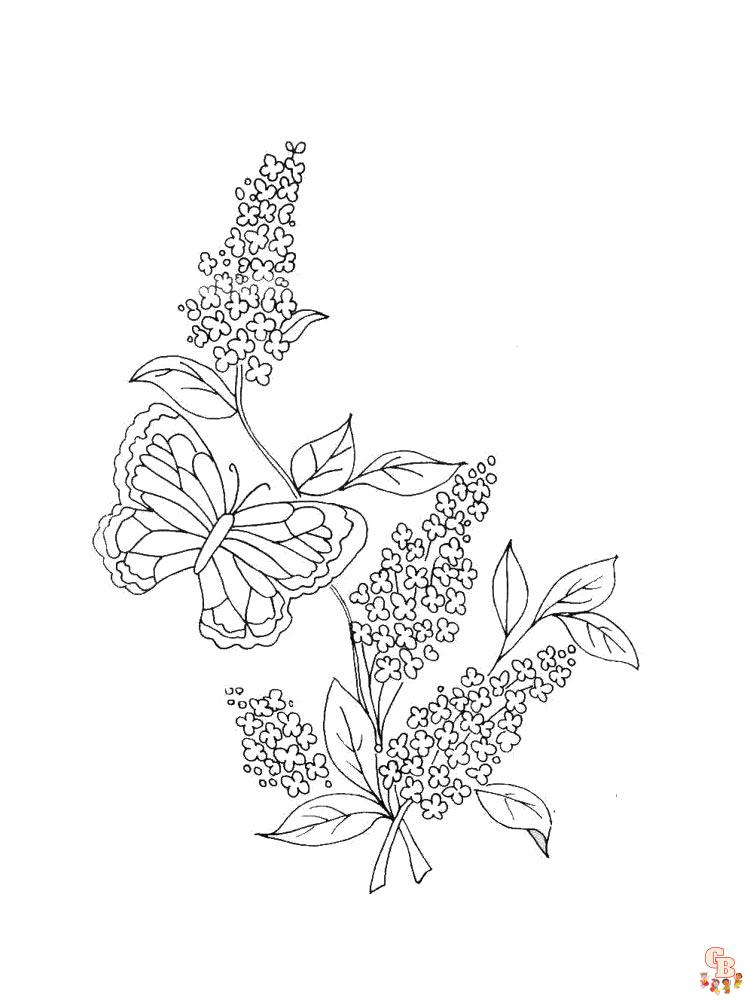 Lilac Coloring Pages for kids 3