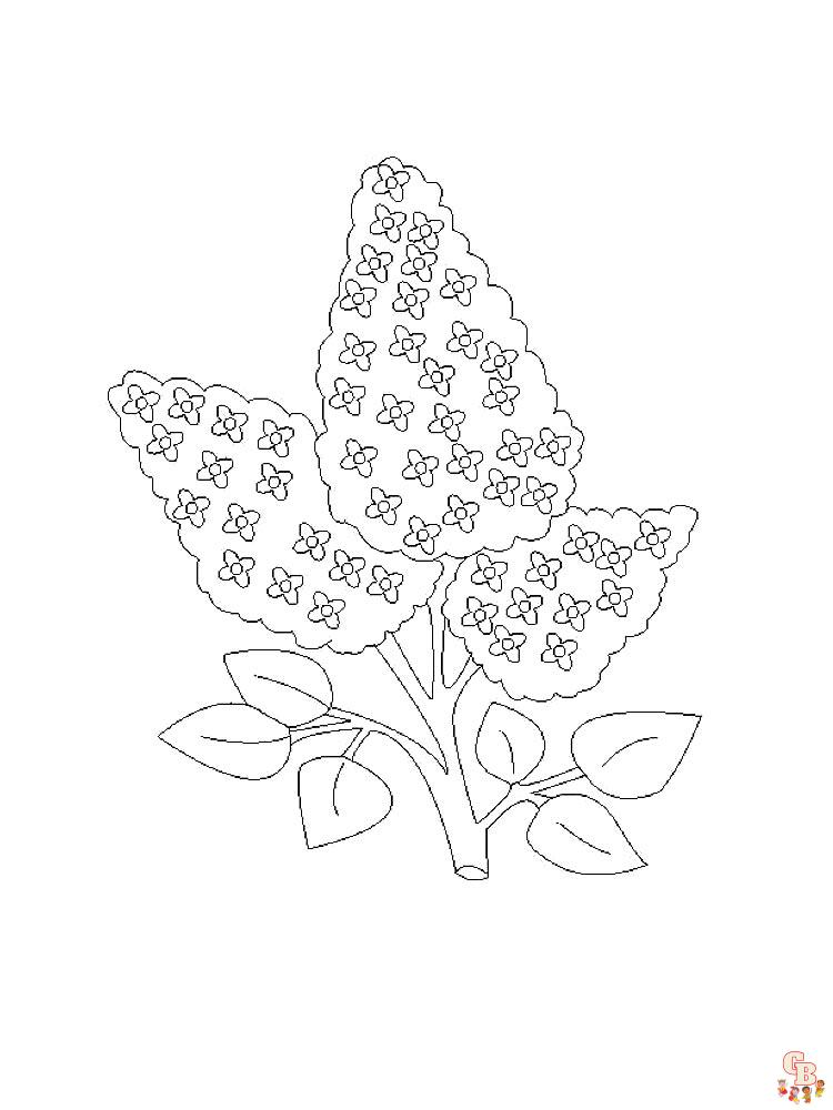 Lilac Coloring Pages free 3