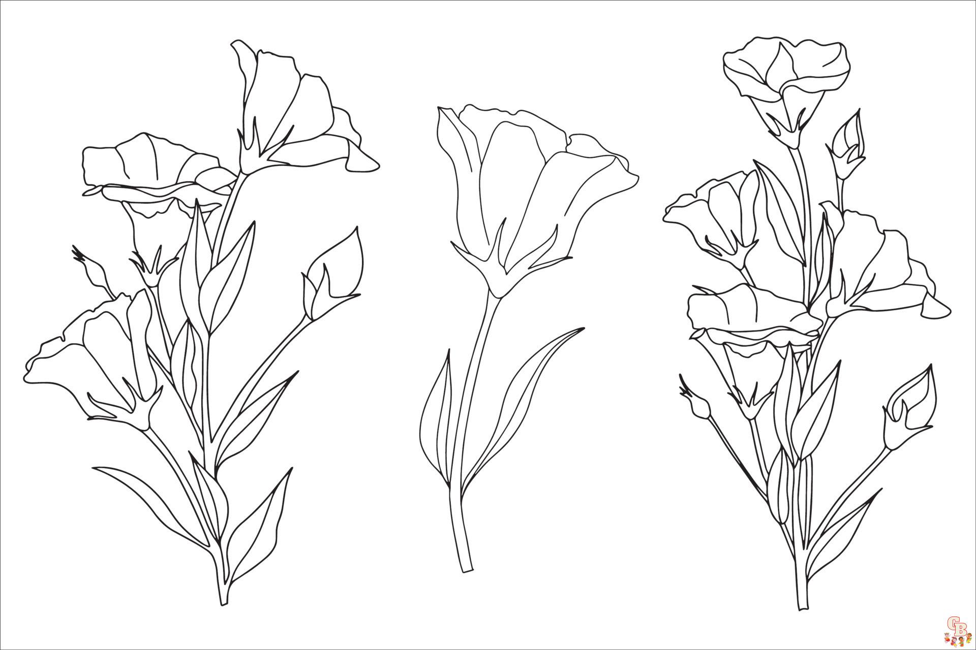 Lisianthus Coloring Pages 6