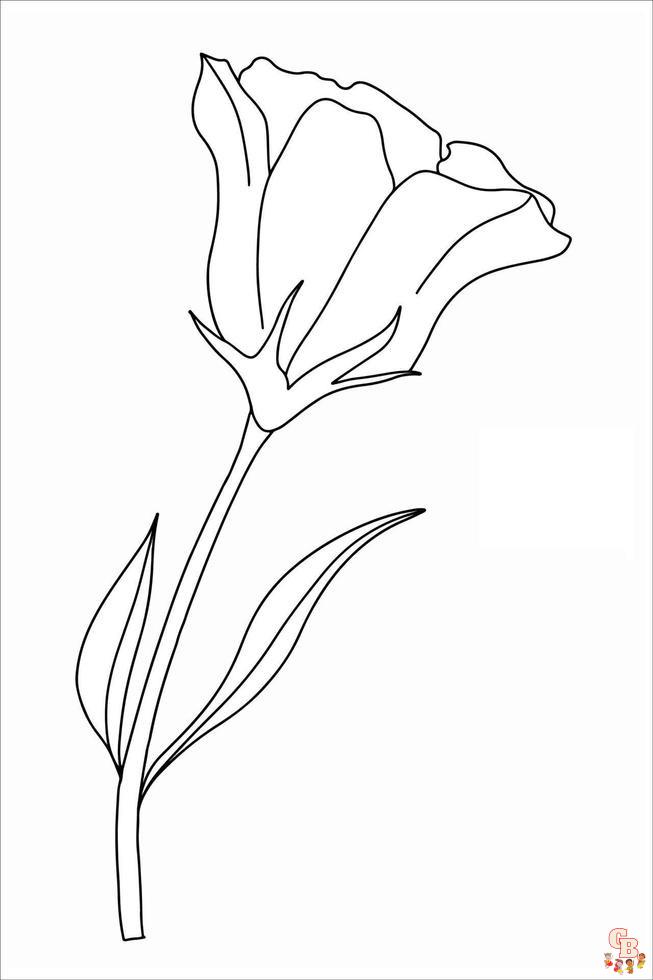Lisianthus Coloring Pages easy 1