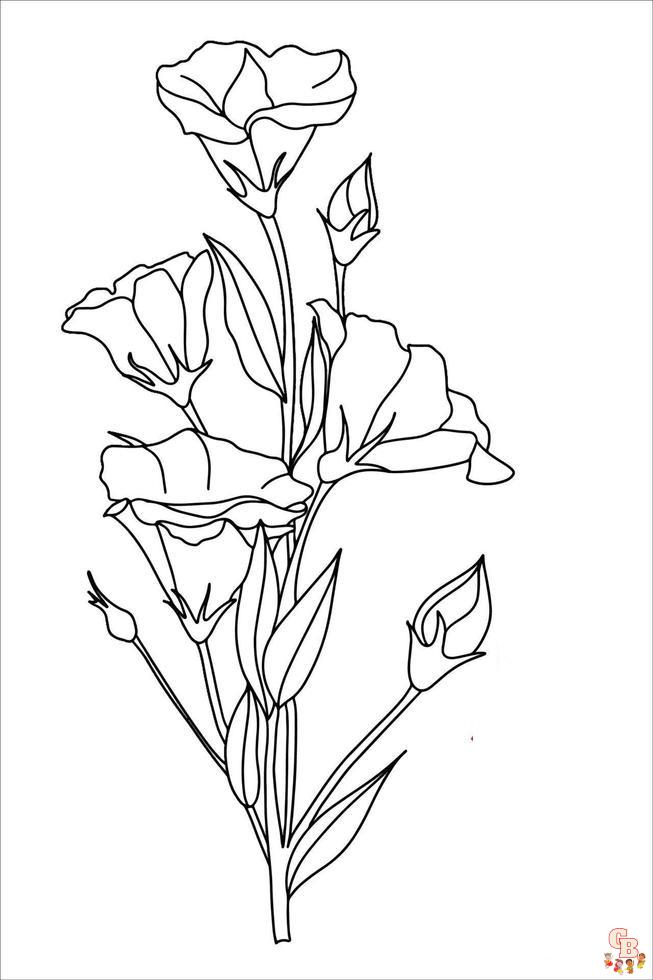 Lisianthus Coloring Pages easy 2