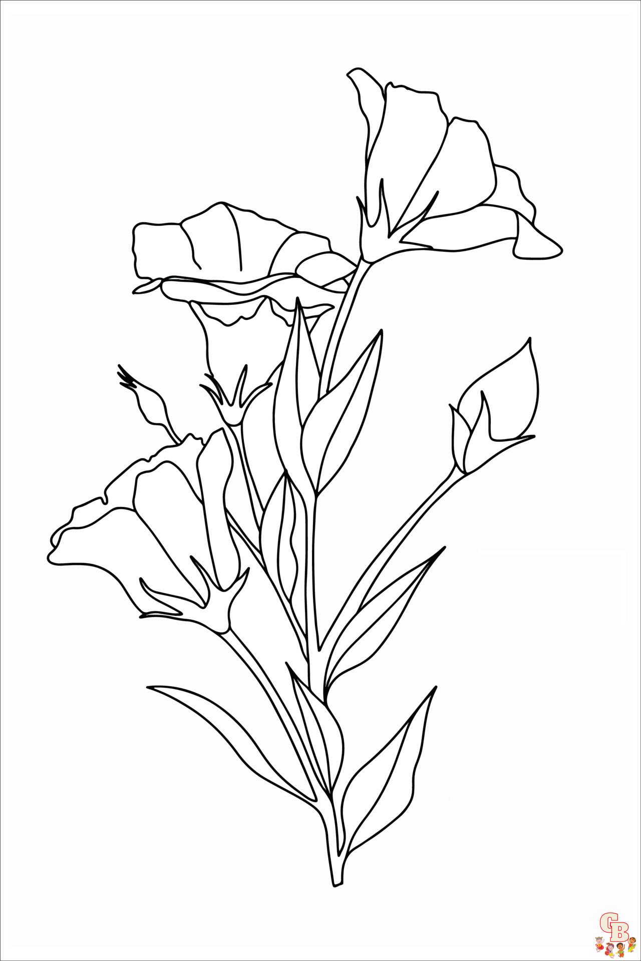 Lisianthus Coloring Pages for kids 2