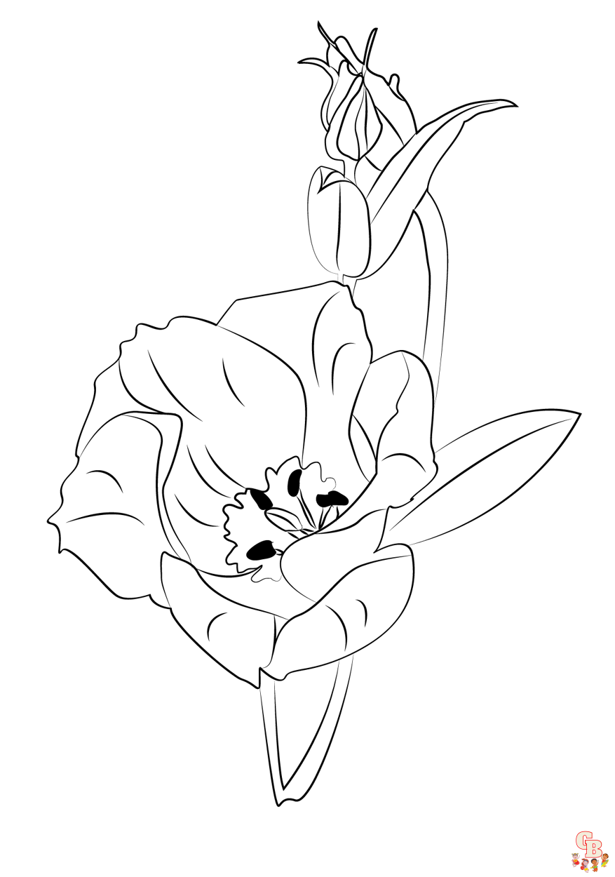 Lisianthus Coloring Pages free