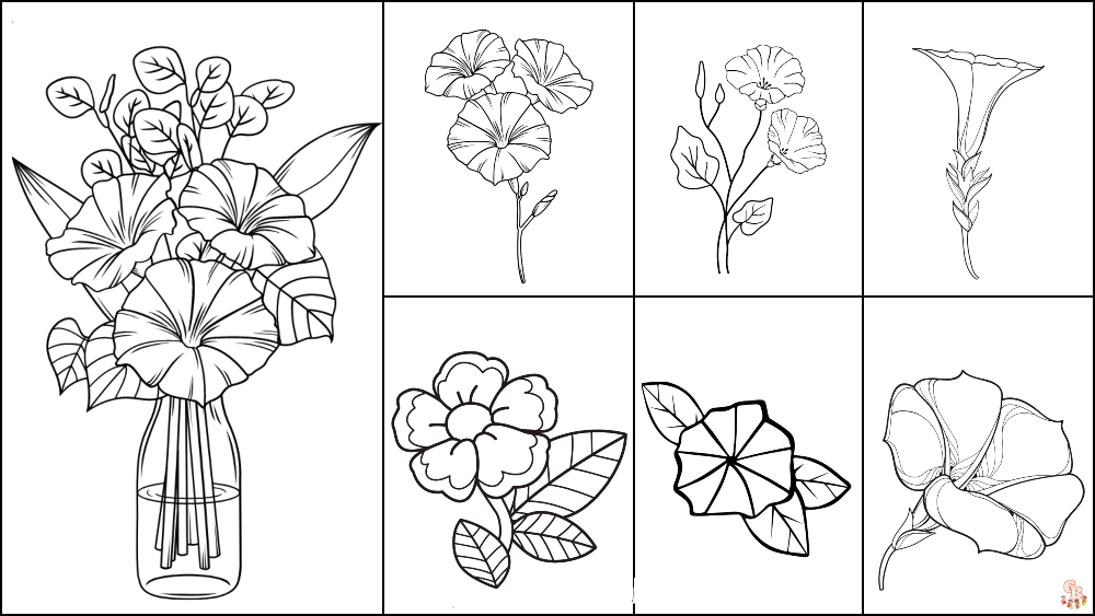 Morning Glory Coloring Pages 1