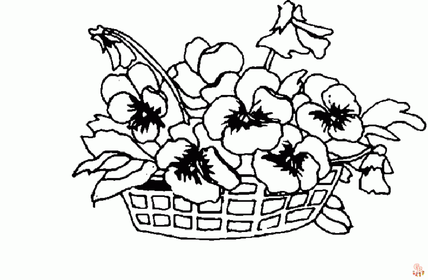 Pansy coloring pages01