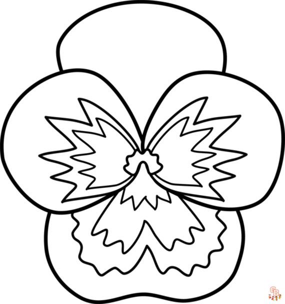 Pansy coloring pages03