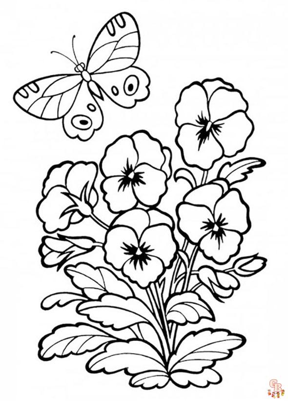 Pansy coloring pages07