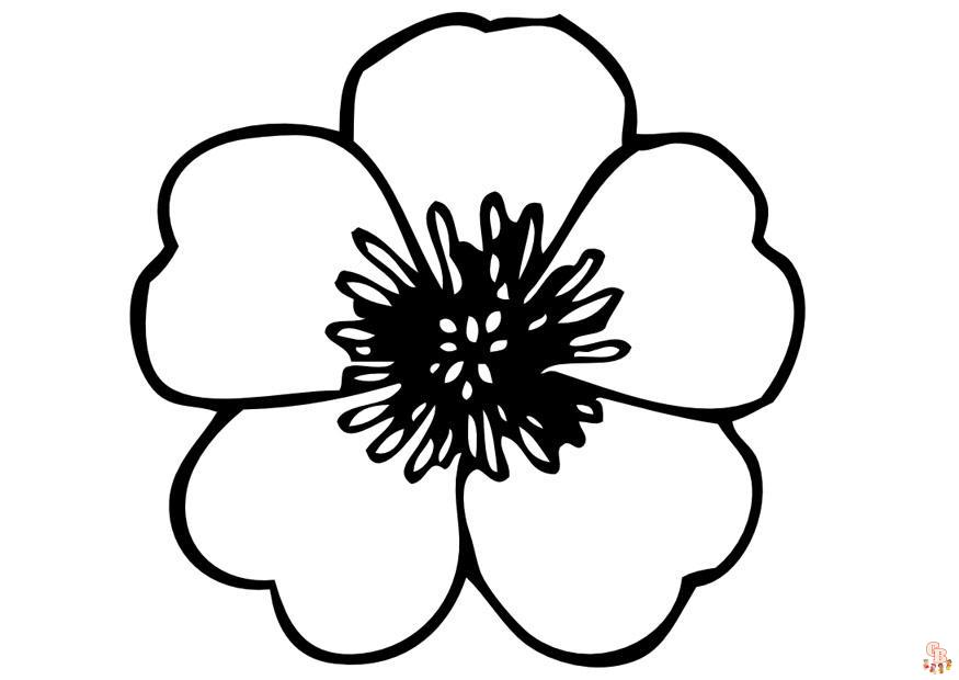 Pansy coloring pages12